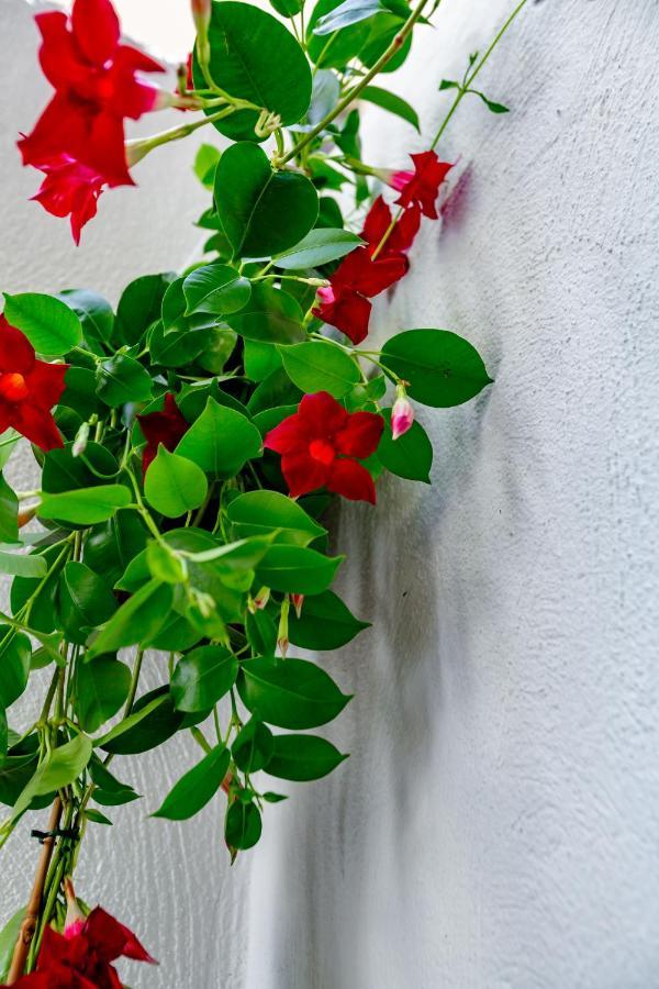 Antonella Home B&B Bari Bagian luar foto